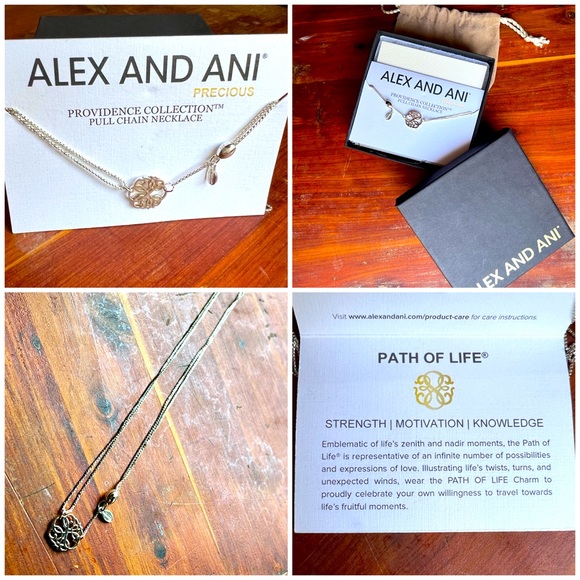 Alex and Ani Sterling Silver Adjustable Necklace - Picture 1 of 3